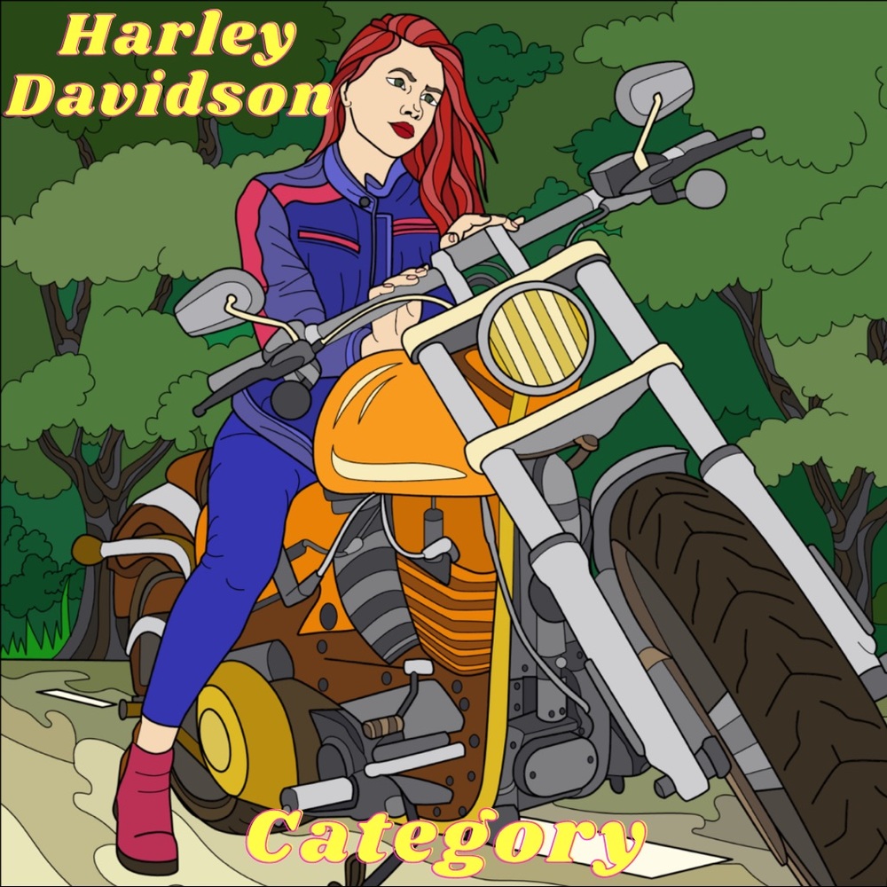 Harley Davidson Items